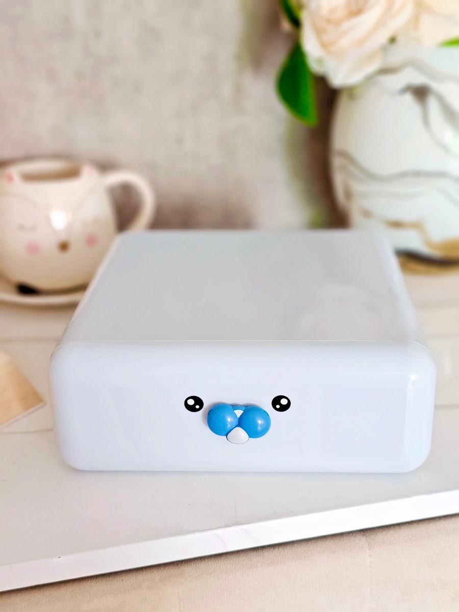 Caja Organizadora Celeste